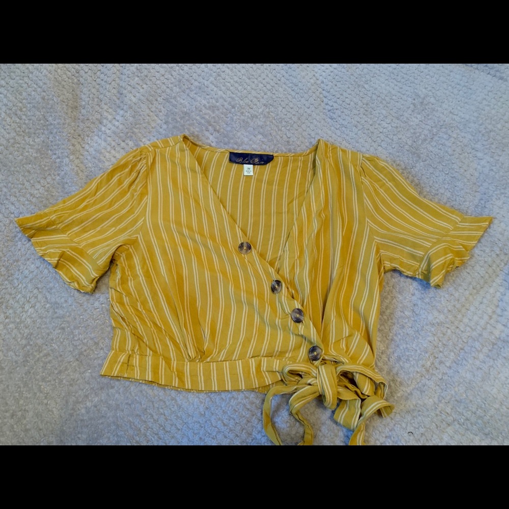 Francesca’s Wrap Crop Top